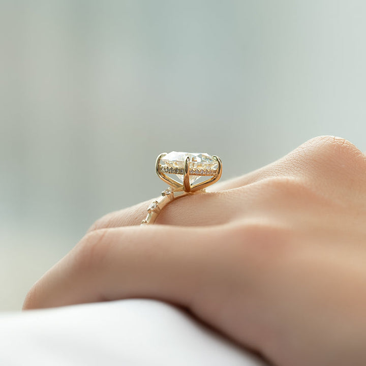 3.0CT Round Lab Grown E/VS1 Diamond Distance Pave Engagement Ring