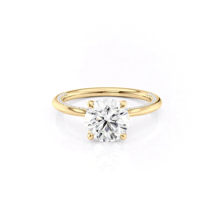 1.0CT Round Lab Grown F/VS1 Diamond Hidden Pave Engagement Ring
