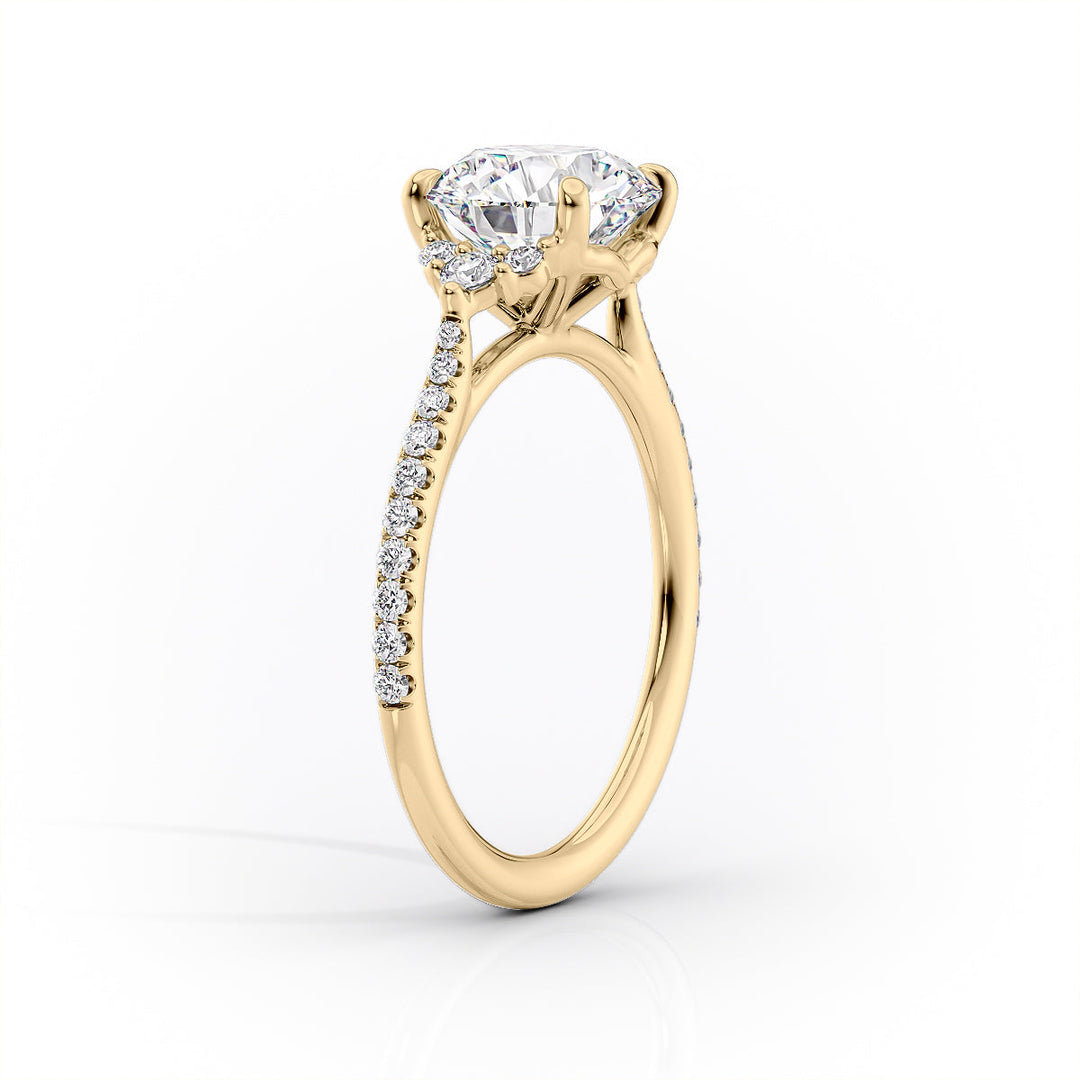 2.50CT Round Lab Grown F/VVS1 Diamond Cluster Engagement Ring