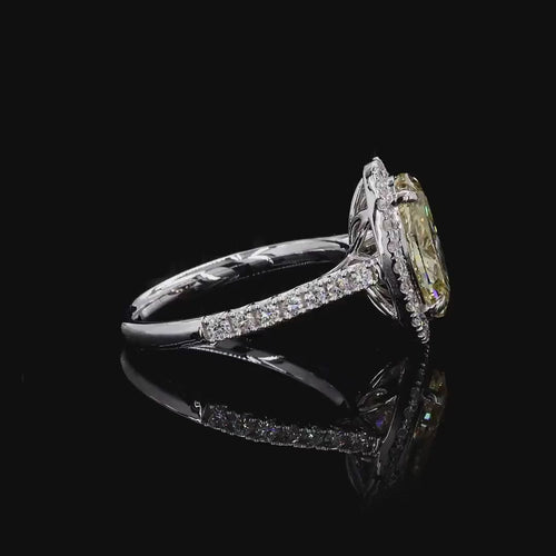 oval halo pave ring
